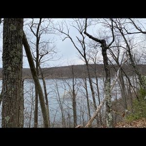 Meet your Posher, Louis